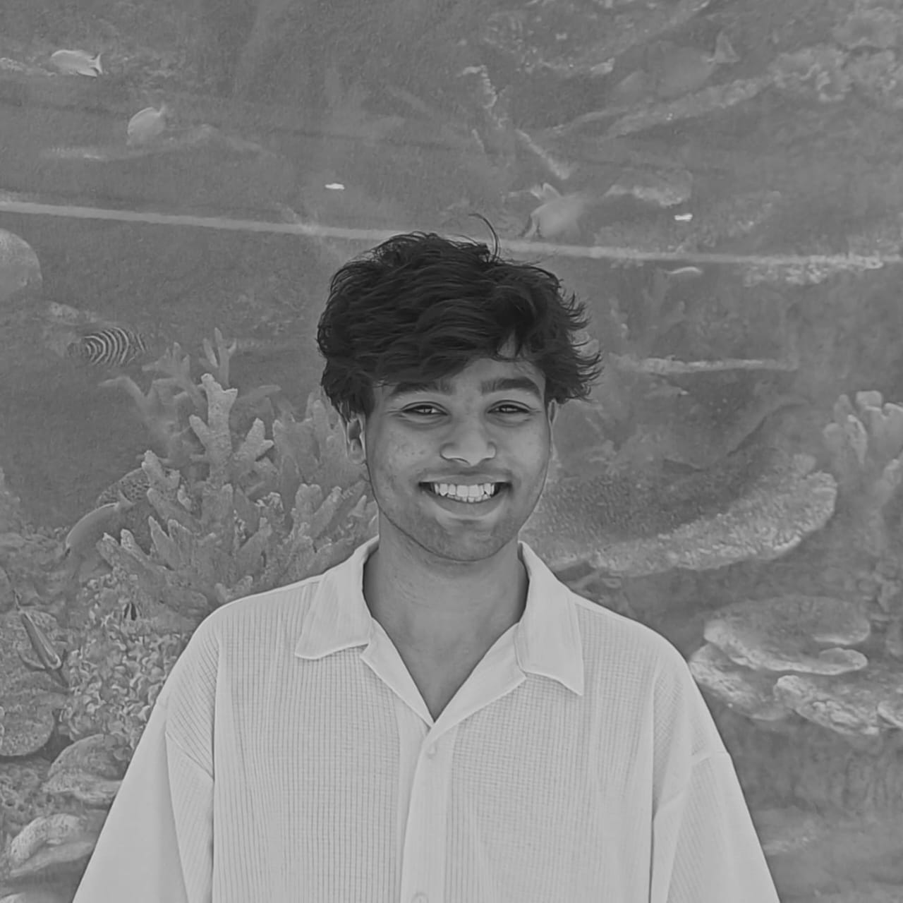 Sahil Ahmed Profile